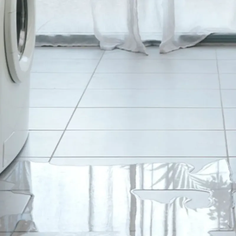 Appliance Leak Cleanup in Jefferson County, IA