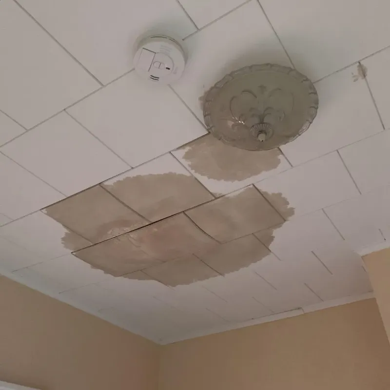 Ceiling Water Damage Repair in Jefferson County, IA