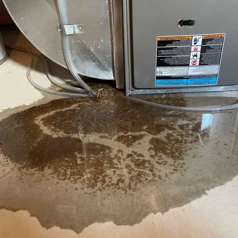 Pipe Burst and Leak Restoration in Jefferson County, IA
